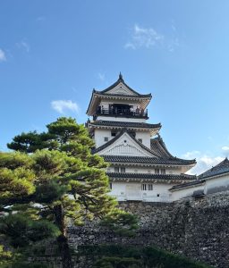 https://galera.bg/wp-content/uploads/2026/07/pexels-135445684-34297336-1-scaled.jpg